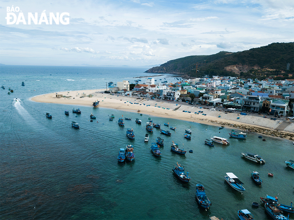 Bến neo đậu tàu thuyền, bãi cát sạch đẹp uốn lượn quanh làng chài Nhơn Hải càng tôn thêm vẻ đẹp huyền ảo của cánh đồng rong mơ.