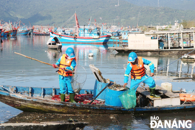 Công nhân môi trường Chi nhánh Urenco miền Trung thu gom rác tại âu thuyền Thọ Quang. Ảnh: TRỌNG HÙNG