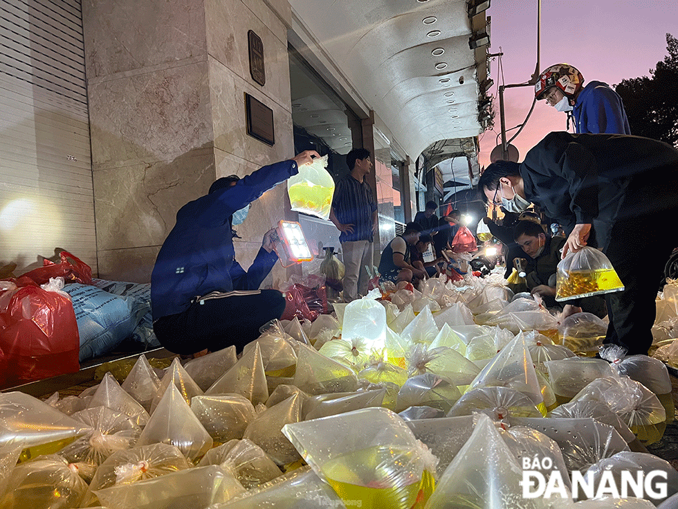 Chợ cá cảnh Lưu Xuân Tín đã có từ vài chục năm trước, trở thành nơi giao thương quen thuộc của dân chơi và kinh doanh cá cảnh.