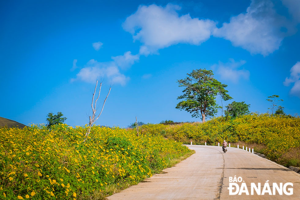 Để có 1 trải nghiệm thú vị, du khách khi đến núi lửa Chư Đăng Ya có thể đi bộ để leo lên đỉnh núi. Từ đây, bạn có thể ngắm trọn vẹn một vùng trời Gia Lai thanh bình với những mảng xanh của núi rừng, màu vàng của hoa dã quỳ hòa quyện với màu xanh cây cỏ trên nền đất bazan.	