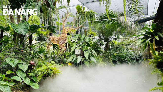 The space at the Tree and Water Shop looks like a miniature tropical forest. Photo: H.L