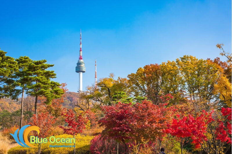 Tour Hàn Quốc trọn gói giá rẻ, uy tín tại Blue Ocean Tourist