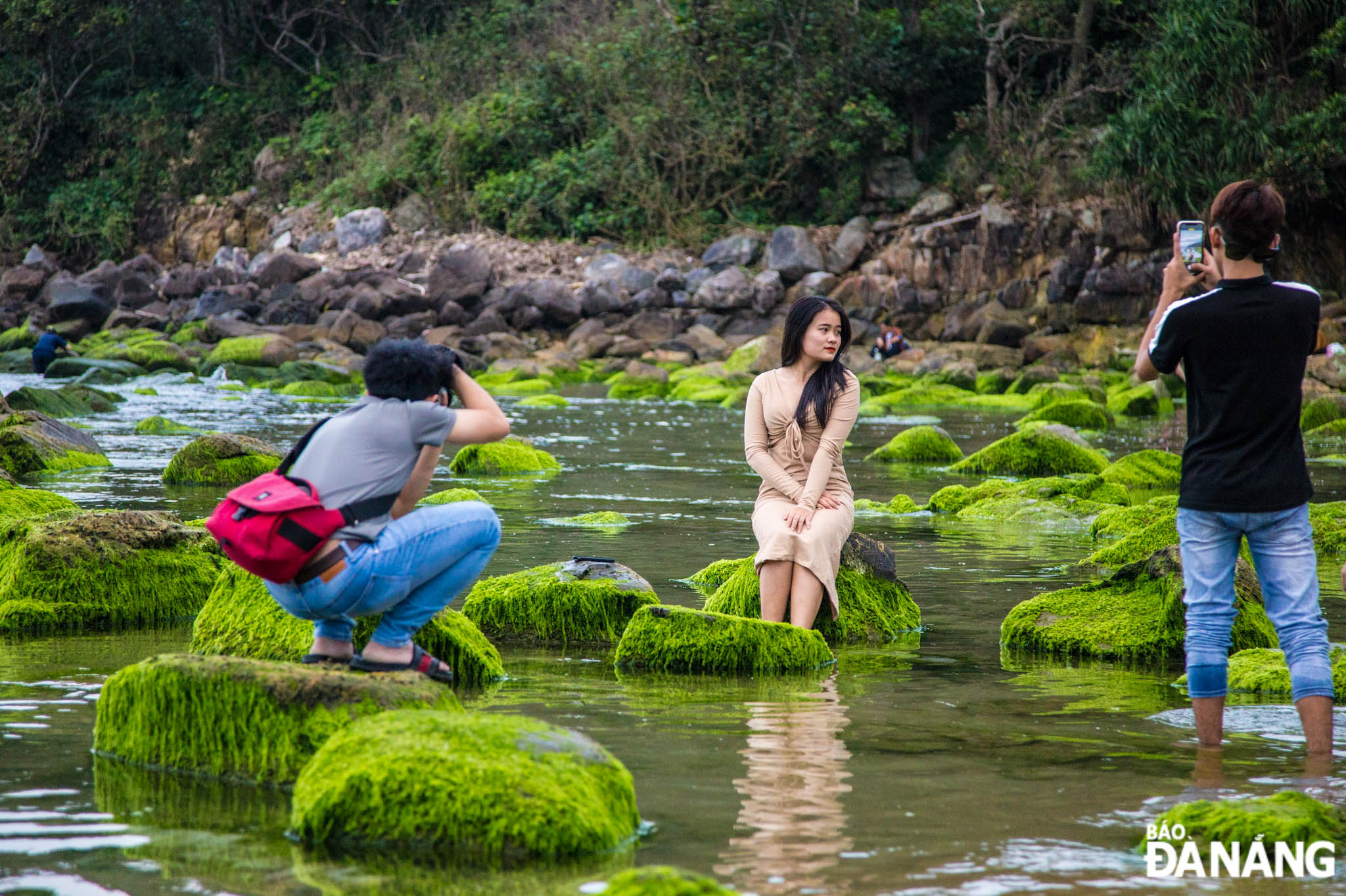 Bãi rêu xanh rạn Nam Ô thu hút khách bởi vẻ đẹp đặc trưng