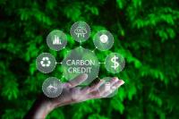 Hướng tới thị trường tín chỉ carbon