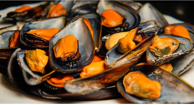 A stack of raw mussels on a plate. (Photo: iStock)